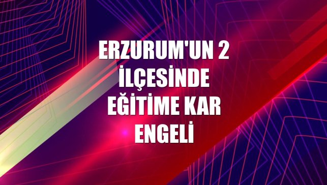 Erzurum'un 2 ilçesinde eğitime kar engeli