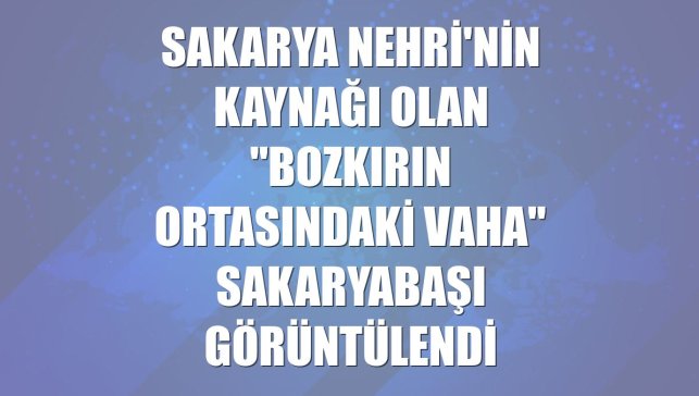 Sakarya Nehri'nin kaynağı olan "bozkırın ortasındaki vaha" Sakaryabaşı görüntülendi