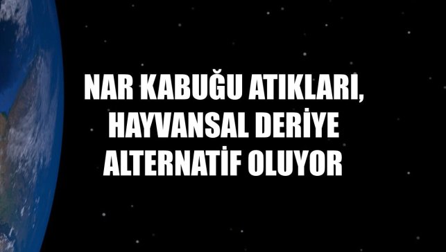 Nar kabuğu atıkları, hayvansal deriye alternatif oluyor