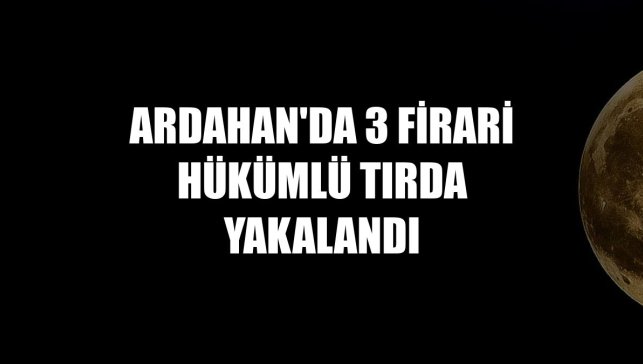 Ardahan'da 3 firari hükümlü tırda yakalandı