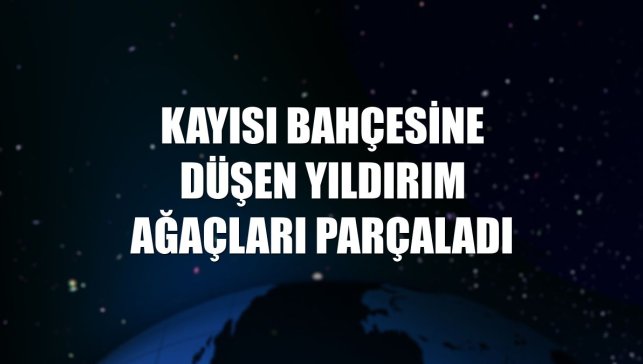 Kayısı bahçesine düşen yıldırım ağaçları parçaladı