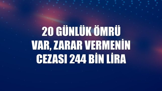 20 günlük ömrü var, zarar vermenin cezası 244 bin lira