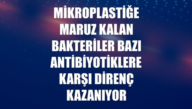 Mikroplastiğe maruz kalan bakteriler bazı antibiyotiklere karşı direnç kazanıyor
