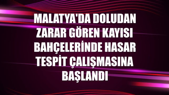 Malatya'da doludan zarar gören kayısı bahçelerinde hasar tespit çalışmasına başlandı