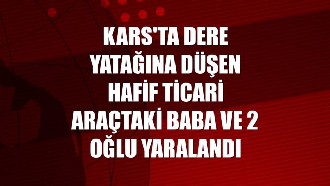 Kars'ta dere yatağına düşen hafif ticari araçtaki baba ve 2 oğlu yaralandı