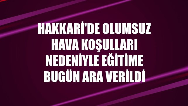 Hakkari'de olumsuz hava koşulları nedeniyle eğitime bugün ara verildi