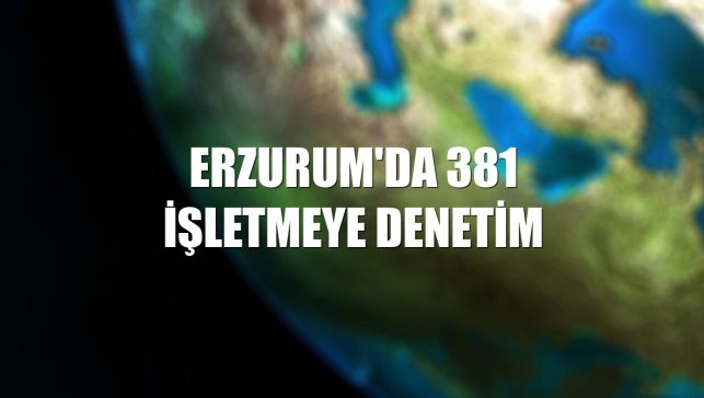 Erzurum'da 381 işletmeye denetim