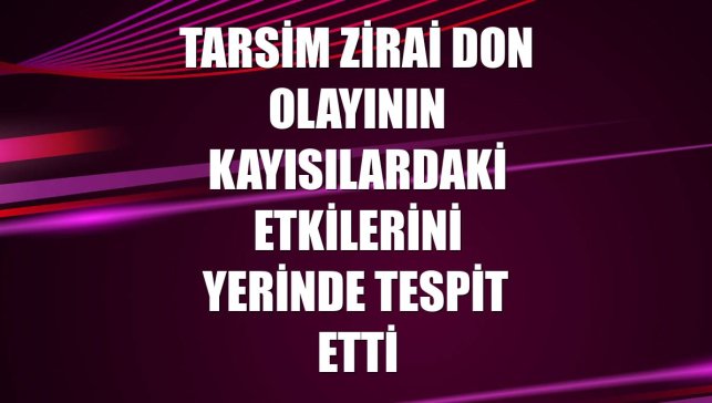 TARSİM zirai don olayının kayısılardaki etkilerini yerinde tespit etti