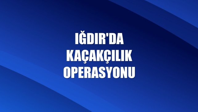 Iğdır'da kaçakçılık operasyonu