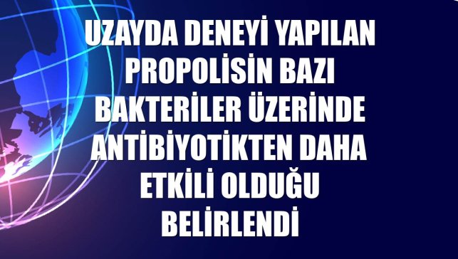 Uzayda deneyi yapılan propolisin bazı bakteriler üzerinde antibiyotikten daha etkili olduğu belirlendi
