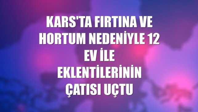 Kars'ta fırtına ve hortum nedeniyle 12 ev ile eklentilerinin çatısı uçtu