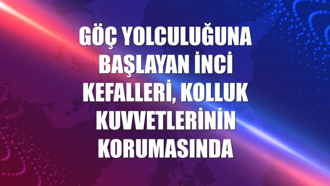 Göç yolculuğuna başlayan inci kefalleri, kolluk kuvvetlerinin korumasında