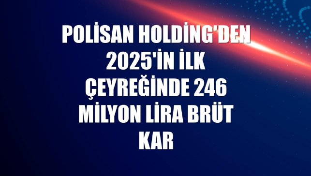 Polisan Holding'den 2025'in ilk çeyreğinde 246 milyon lira brüt kar