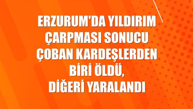 Erzurum'da yıldırım çarpması sonucu çoban kardeşlerden biri öldü, diğeri yaralandı
