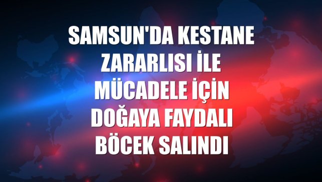 Samsun'da kestane zararlısı ile mücadele için doğaya faydalı böcek salındı