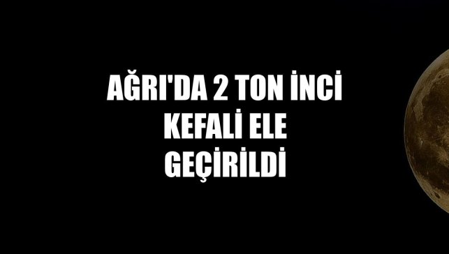 Ağrı'da 2 ton inci kefali ele geçirildi