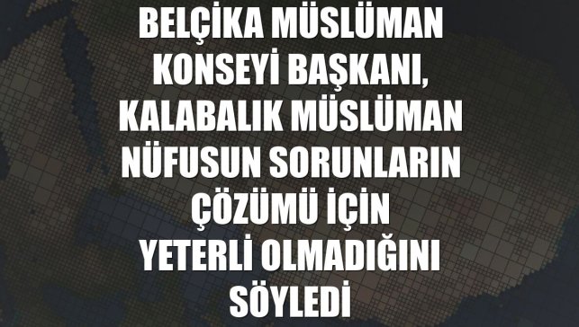 Belçika Müslüman Konseyi Başkanı, kalabalık Müslüman nüfusun sorunların çözümü için yeterli olmadığını söyledi