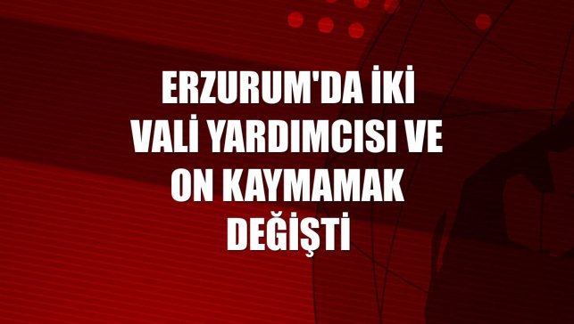Erzurum'da iki vali yardımcısı ve on kaymamak değişti