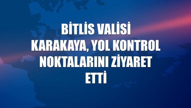 Bitlis Valisi Karakaya, yol kontrol noktalarını ziyaret etti