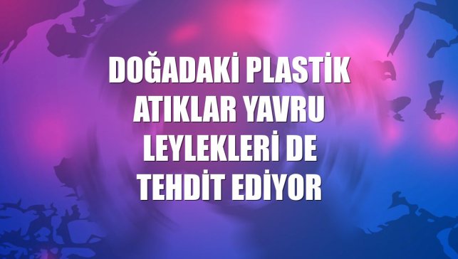 Doğadaki plastik atıklar yavru leylekleri de tehdit ediyor