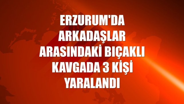 Erzurum'da arkadaşlar arasındaki bıçaklı kavgada 3 kişi yaralandı