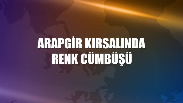 Arapgir kırsalında renk cümbüşü