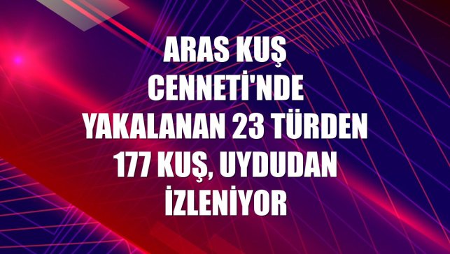 Aras Kuş Cenneti'nde yakalanan 23 türden 177 kuş, uydudan izleniyor