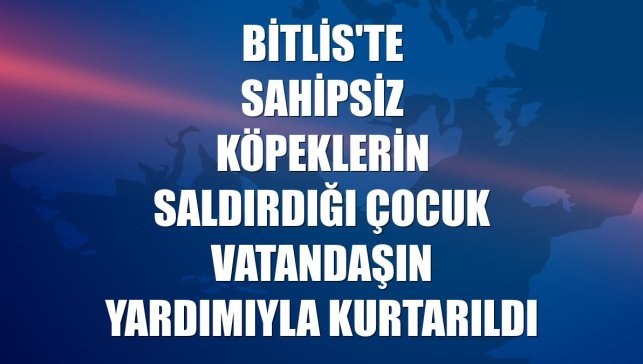 Bitlis'te sahipsiz köpeklerin saldırdığı çocuk vatandaşın yardımıyla kurtarıldı