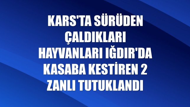 Kars'ta sürüden çaldıkları hayvanları Iğdır'da kasaba kestiren 2 zanlı tutuklandı