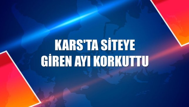 Kars'ta siteye giren ayı korkuttu