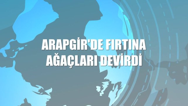 Arapgir'de fırtına ağaçları devirdi