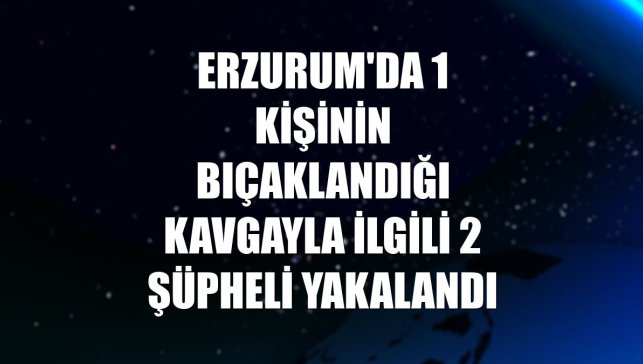 Erzurum'da 1 kişinin bıçaklandığı kavgayla ilgili 2 şüpheli yakalandı