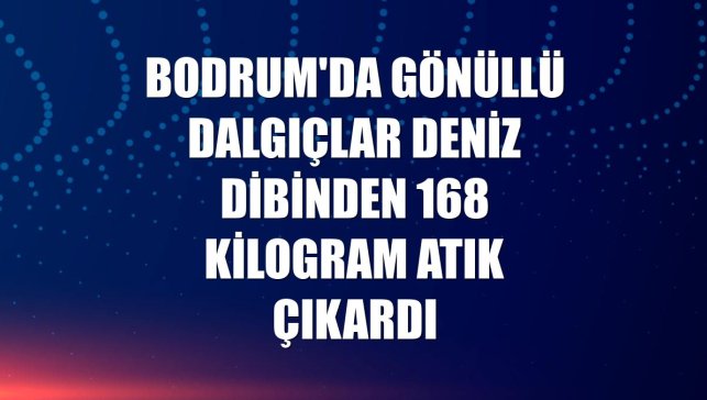 Bodrum'da gönüllü dalgıçlar deniz dibinden 168 kilogram atık çıkardı