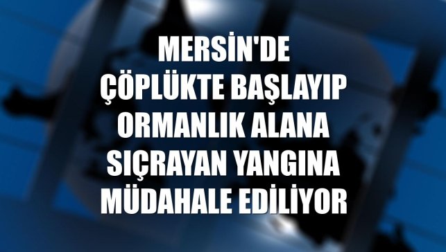 Mersin'de çöplükte başlayıp ormanlık alana sıçrayan yangına müdahale ediliyor