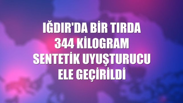 Iğdır'da bir tırda 344 kilogram sentetik uyuşturucu ele geçirildi