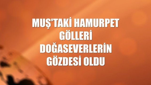 Muş'taki Hamurpet Gölleri doğaseverlerin gözdesi oldu