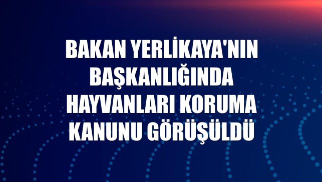 Bakan Yerlikaya'nın başkanlığında Hayvanları Koruma Kanunu görüşüldü