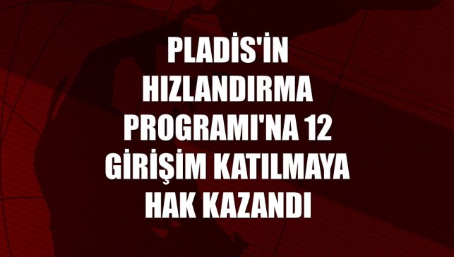 pladis'in Hızlandırma Programı'na 12 girişim katılmaya hak kazandı