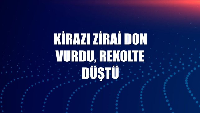 Kirazı zirai don vurdu, rekolte düştü