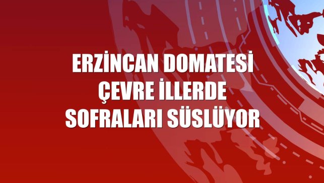 Erzincan domatesi çevre illerde sofraları süslüyor