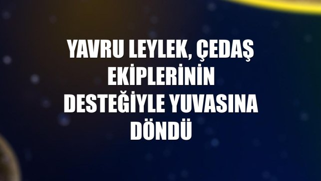 Yavru leylek, ÇEDAŞ ekiplerinin desteğiyle yuvasına döndü