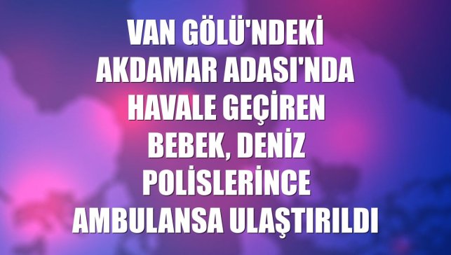Van Gölü'ndeki Akdamar Adası'nda havale geçiren bebek, deniz polislerince ambulansa ulaştırıldı