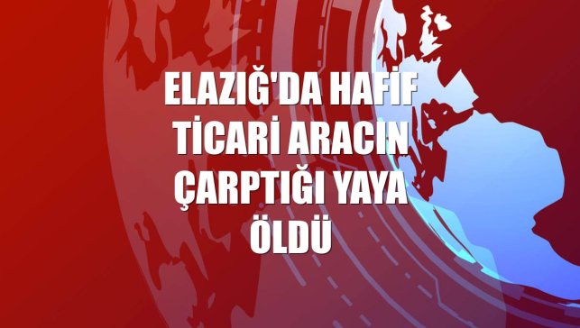 Elazığ'da hafif ticari aracın çarptığı yaya öldü