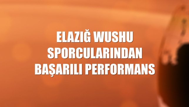 Elazığ wushu sporcularından başarılı performans