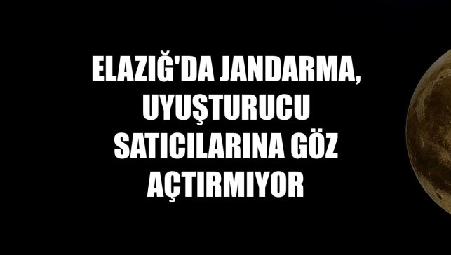 Elazığ'da jandarma, uyuşturucu satıcılarına göz açtırmıyor