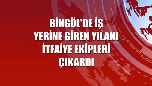 Bingöl'de iş yerine giren yılanı itfaiye ekipleri çıkardı
