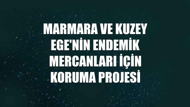 Marmara ve Kuzey Ege'nin endemik mercanları için koruma projesi