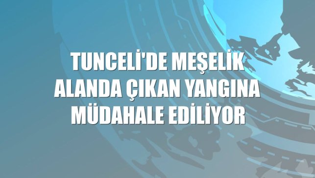 Tunceli'de meşelik alanda çıkan yangına müdahale ediliyor