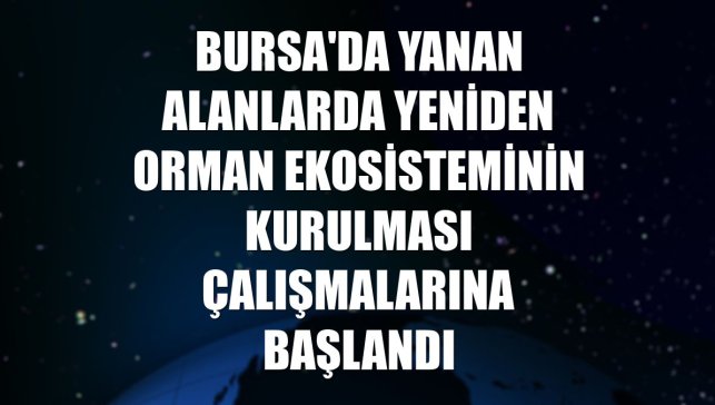 Bursa'da yanan alanlarda yeniden orman ekosisteminin kurulması çalışmalarına başlandı