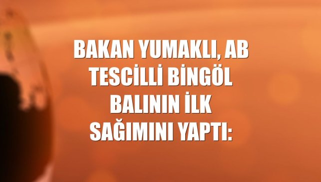 Bakan Yumaklı, AB tescilli Bingöl balının ilk sağımını yaptı: